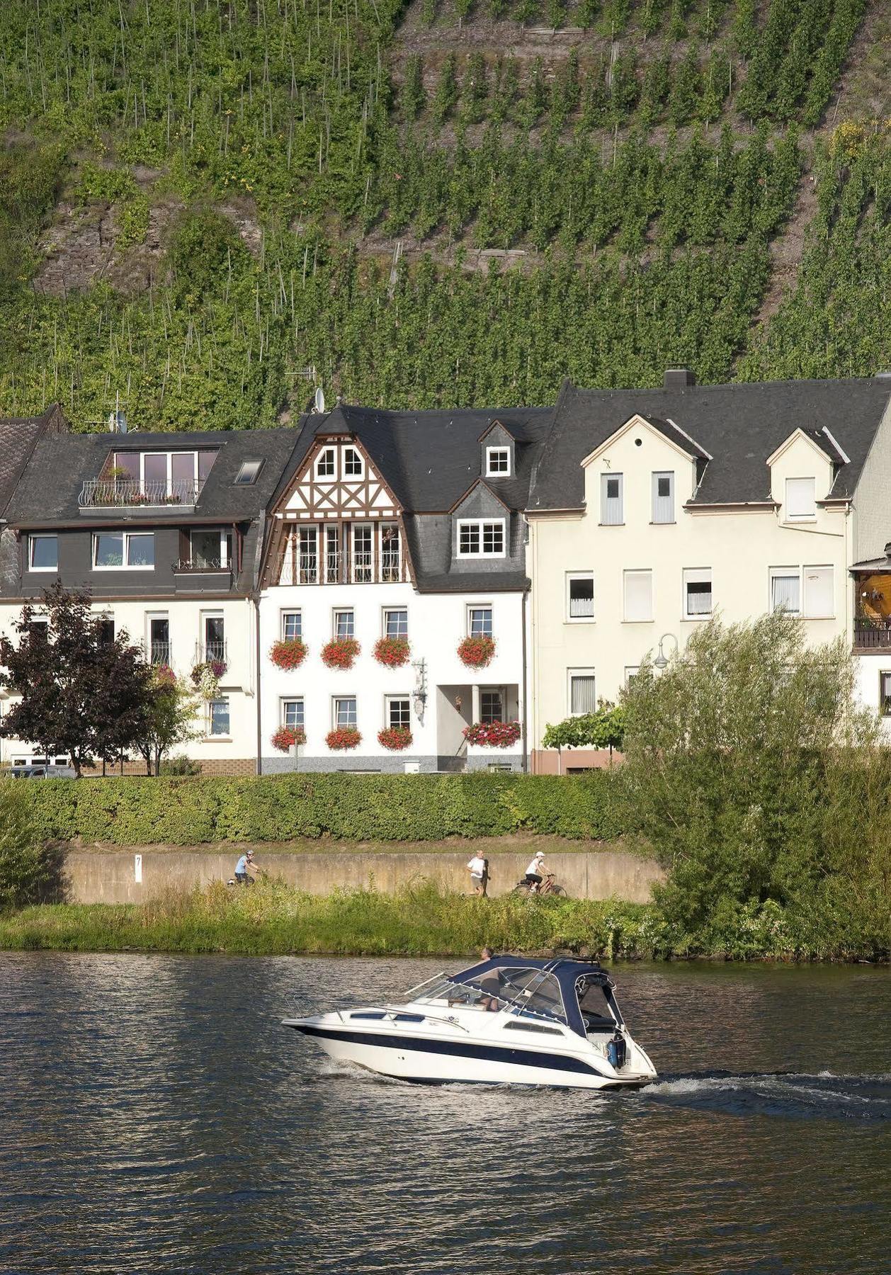 Apartamento Mosel Panorama Zell Exterior foto
